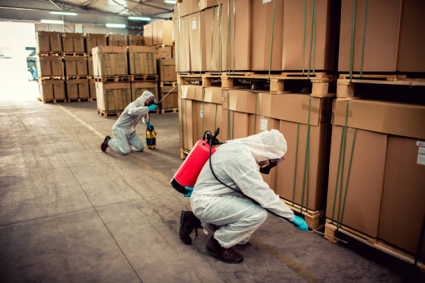 Best Exterminator Services  in Eastwood, LA