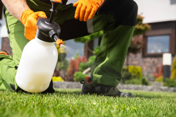 Pest Control Cost in Eastwood, LA