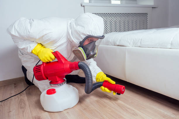 Best Insect Control  in Eastwood, LA