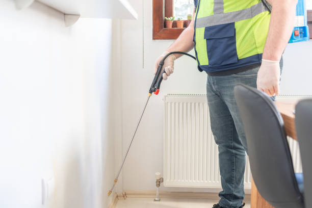 Professional Pest Control in Eastwood, LA