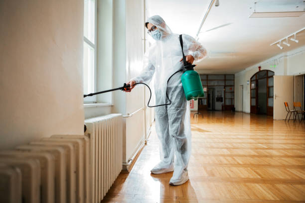 Best Mosquito Control Services  in Eastwood, LA