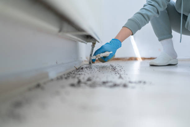 Best Commercial Pest Control Services  in Eastwood, LA